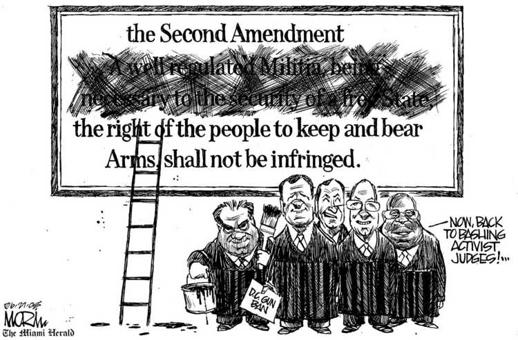 Image result for Second Amendment's right to self-defense in the home